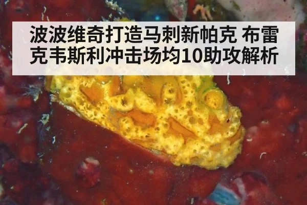 波波维奇打造马刺新帕克 布雷克韦斯利冲击场均10助攻解析